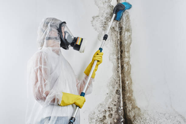 Best Emergency Mold Remediation  in Milford Square, PA